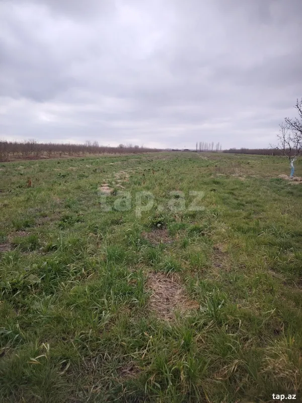 Kirayə verilir torpaq sahəsi