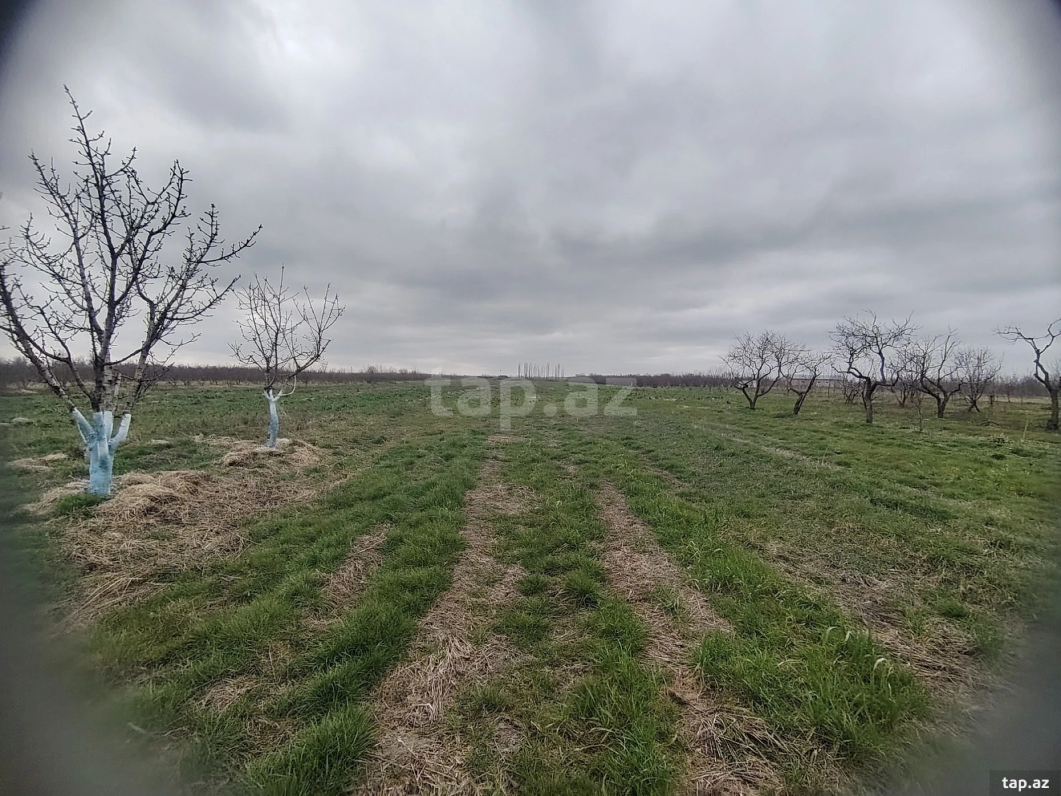 Kirayə verilir torpaq sahəsi