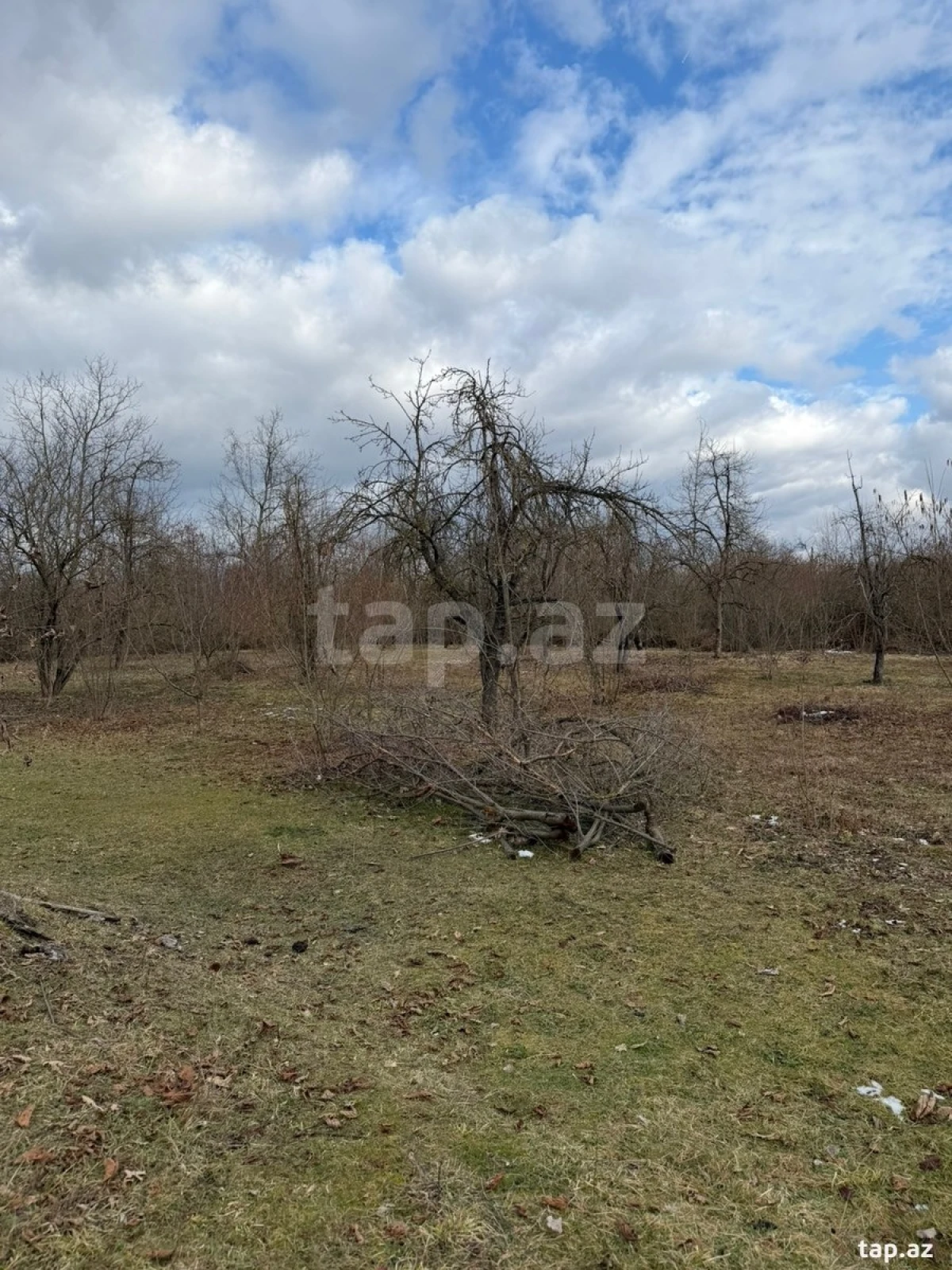 Satılır torpaq sahəsi