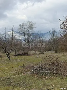 Satılır torpaq sahəsi — Qəbələ