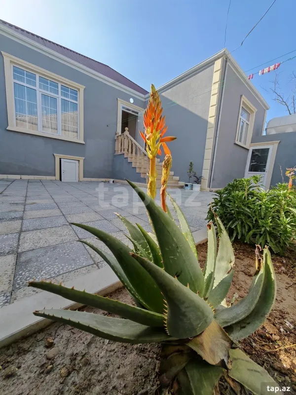 Satılır 3 otaqlı həyət evi