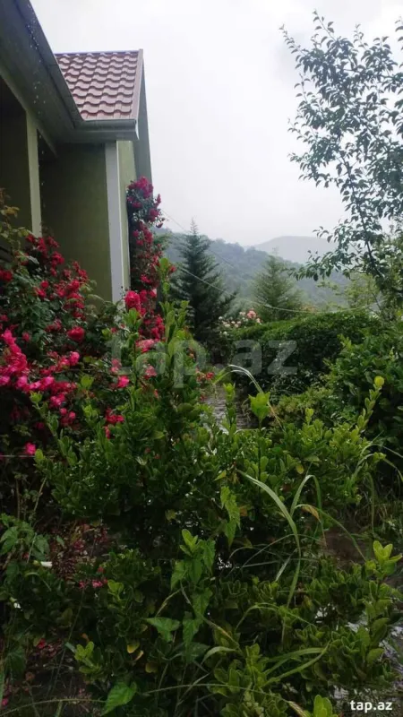 Kirayə verilir 2 otaqlı həyət evi