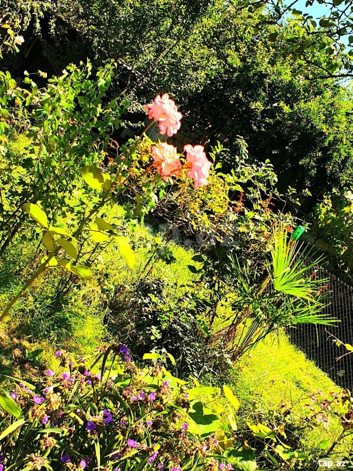 Satılır 7 otaqlı həyət evi