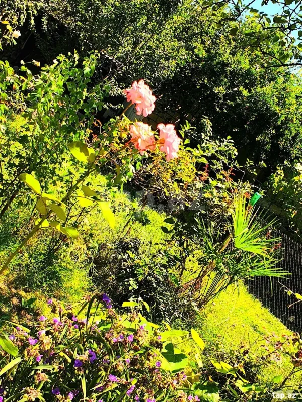 Satılır 7 otaqlı həyət evi