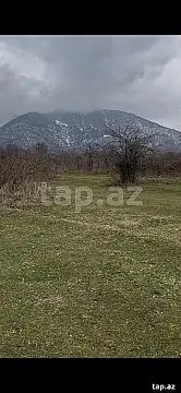 Satılır torpaq sahəsi — Qəbələ