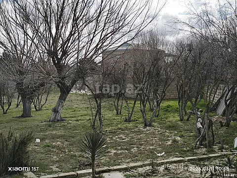 Satılır torpaq sahəsi