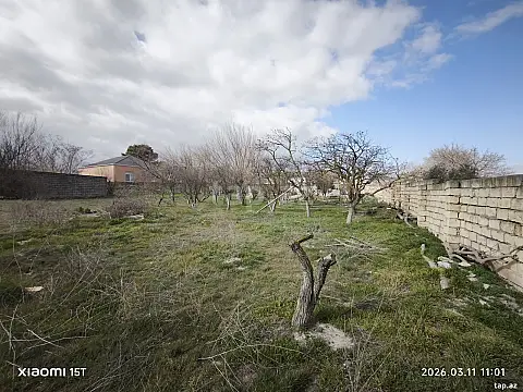 Satılır torpaq sahəsi — Sumqayıt, Novxanı