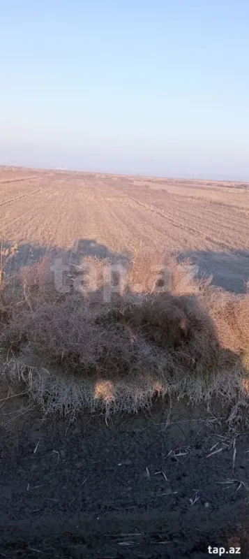 Satılır torpaq sahəsi