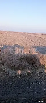 Satılır torpaq sahəsi — Sabirabad