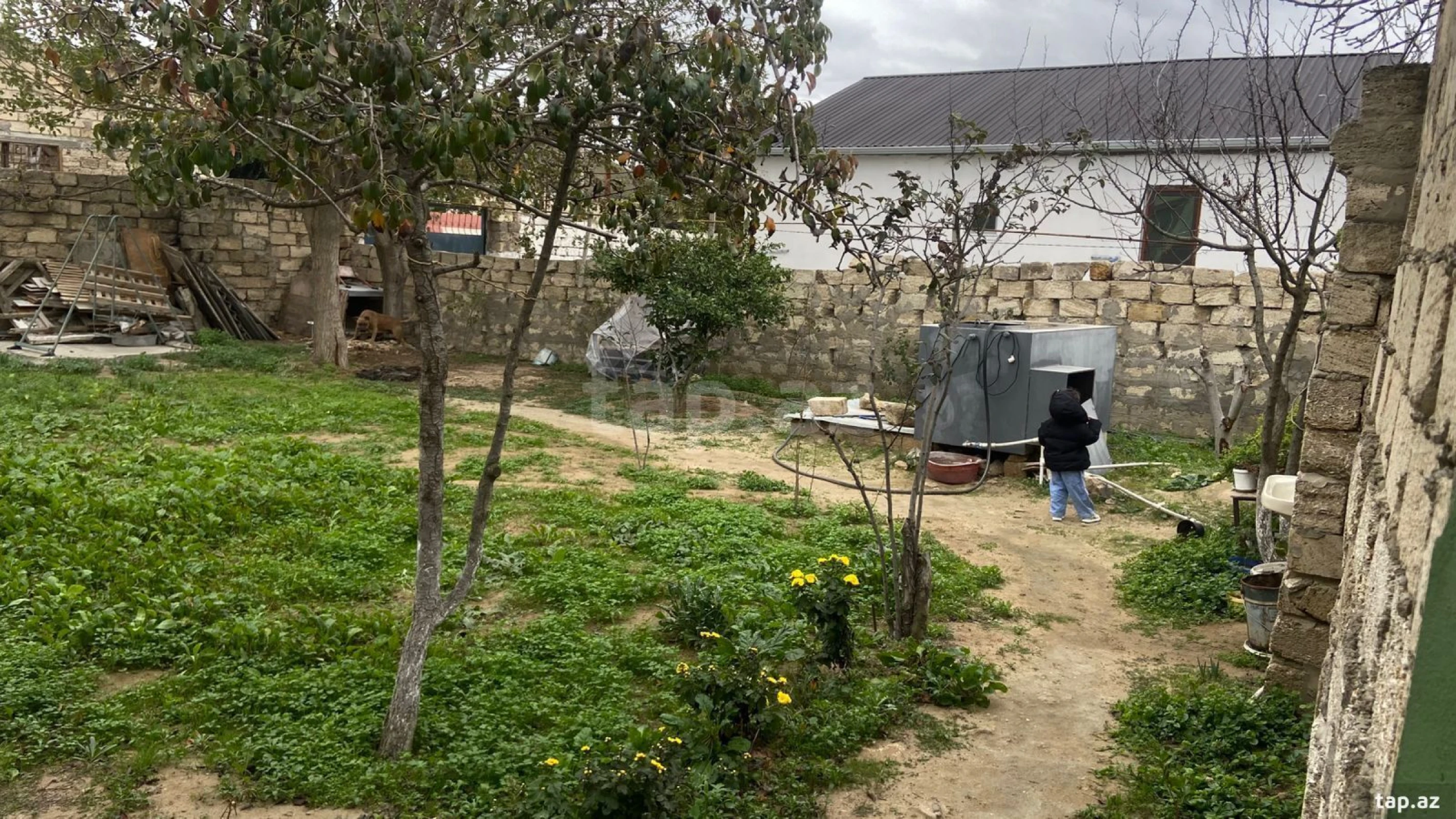 Satılır 3 otaqlı həyət evi