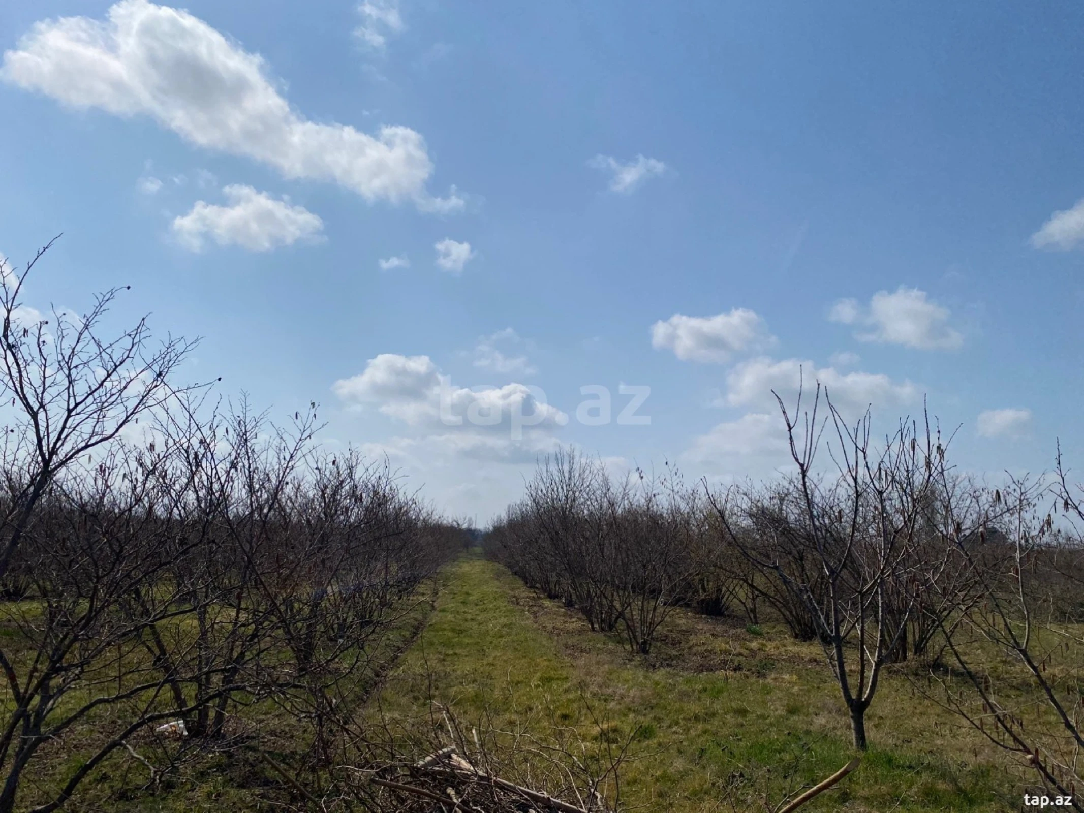 Satılır torpaq sahəsi