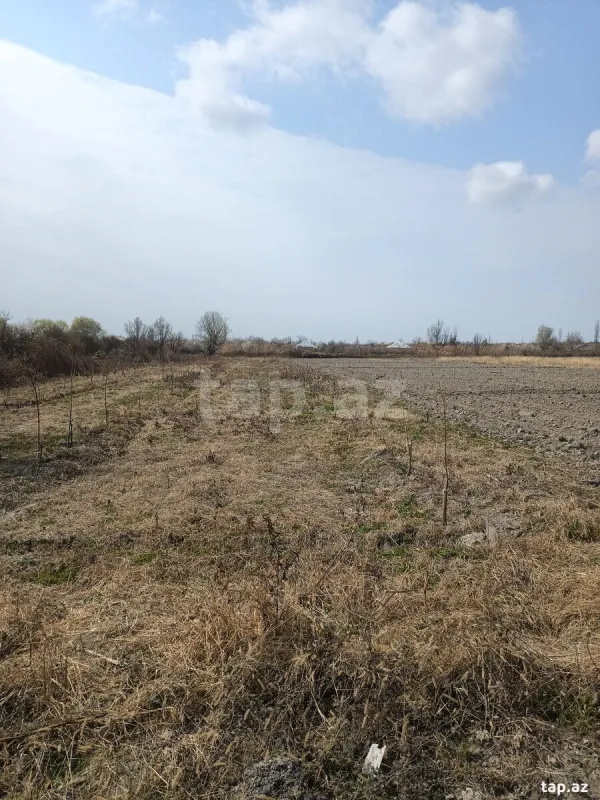 Satılır torpaq sahəsi