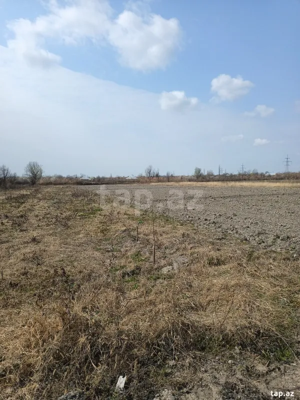 Satılır torpaq sahəsi