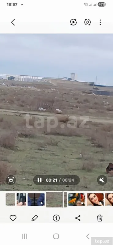 Satılır torpaq sahəsi