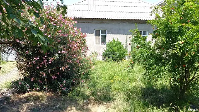 Satılır 4 otaqlı həyət evi — Zaqatala 4 otaq