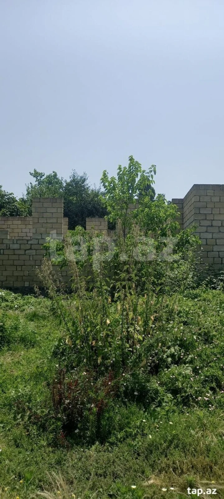 Satılır torpaq sahəsi