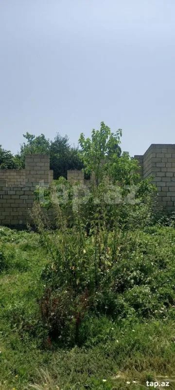 Satılır torpaq sahəsi