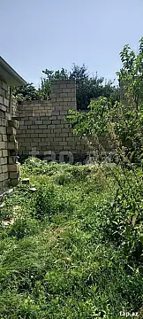 Satılır torpaq sahəsi — Qəbələ