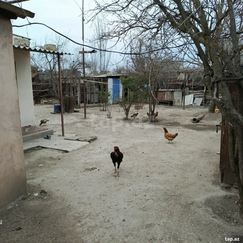 Satılır 3 otaqlı həyət evi