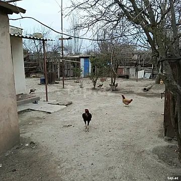 Satılır 3 otaqlı həyət evi