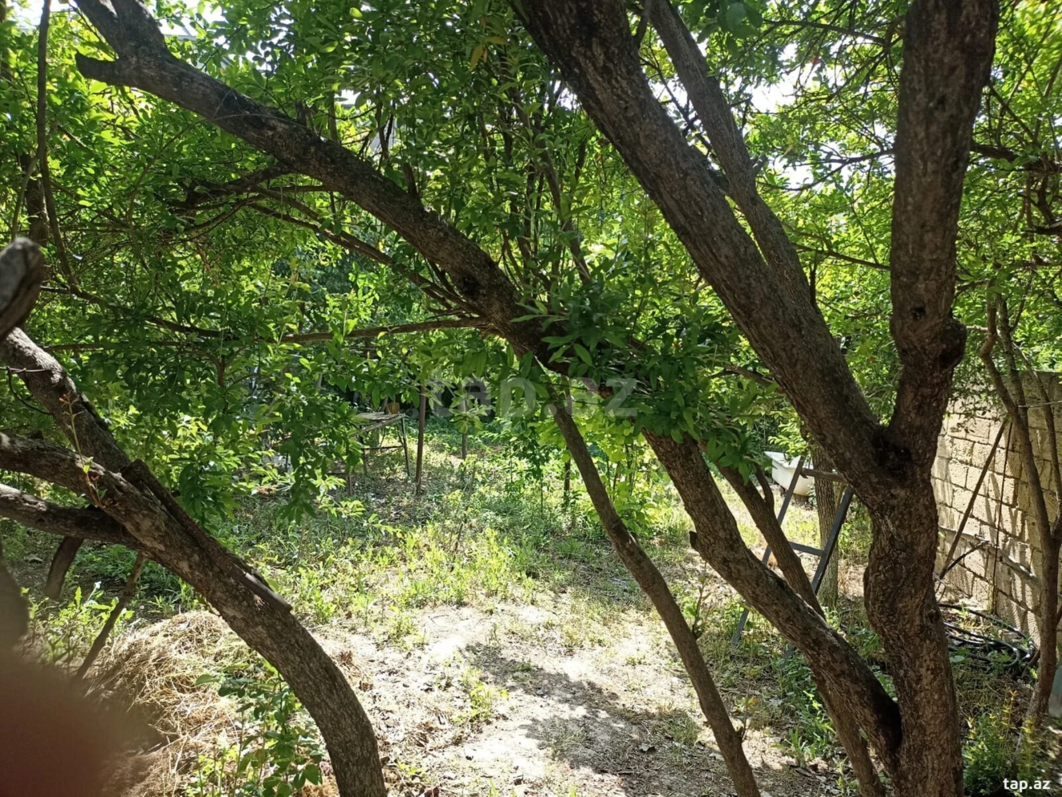 Kirayə verilir 1 otaqlı həyət evi