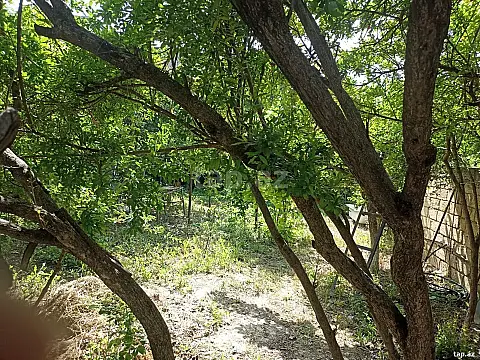 Kirayə verilir 1 otaqlı həyət evi