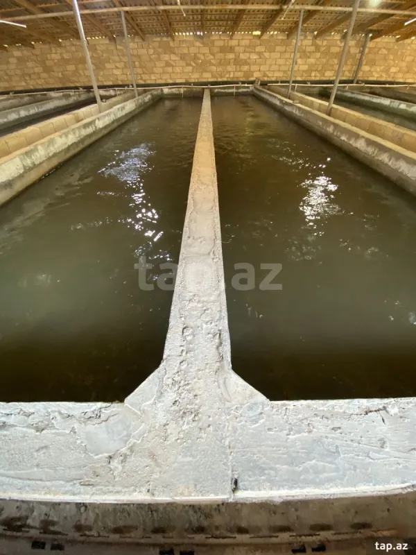 Satılır 5 otaqlı həyət evi