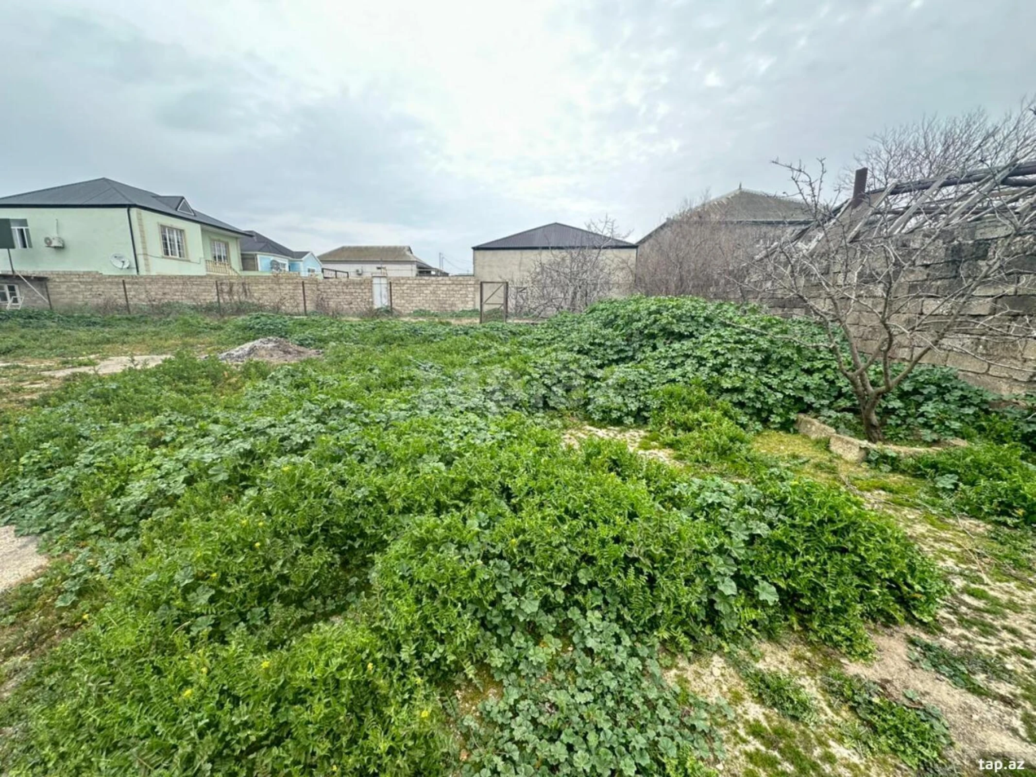 Satılır torpaq sahəsi