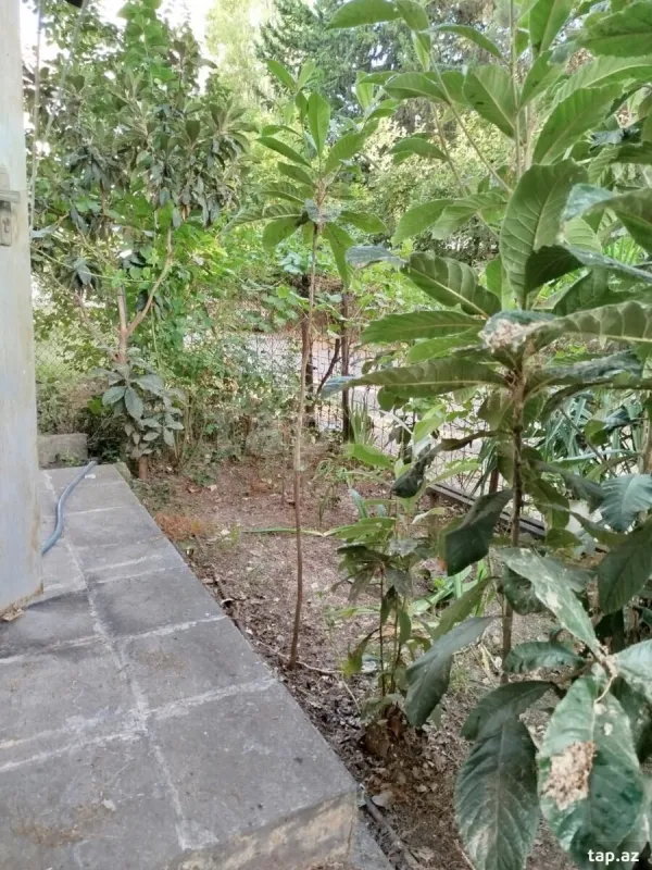 Satılır 2 otaqlı mənzil 40 m²