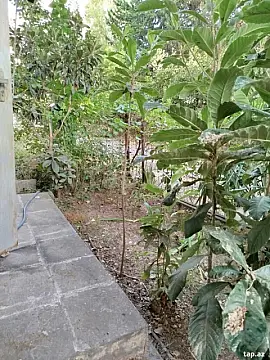 Satılır 2 otaqlı mənzil 40 m² — Bakı, Binəqədi 2 otaq 40.00 m²