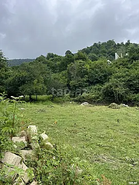 Satılır torpaq sahəsi — İsmayıllı