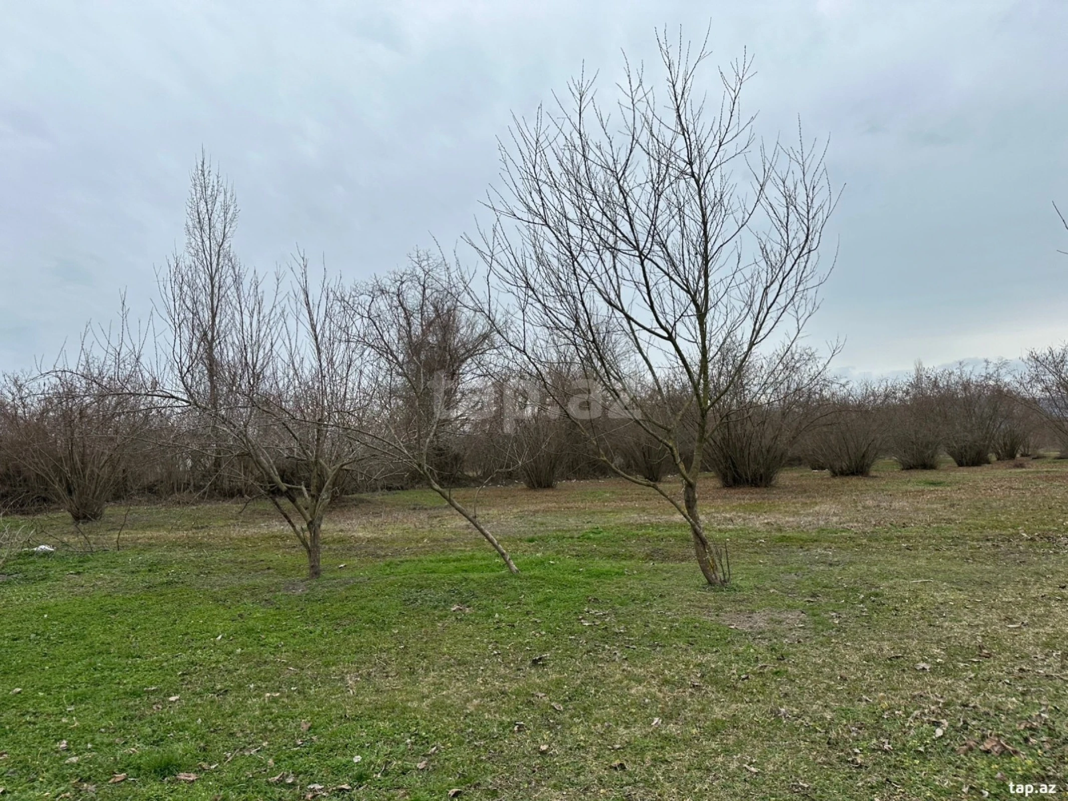 Satılır torpaq sahəsi