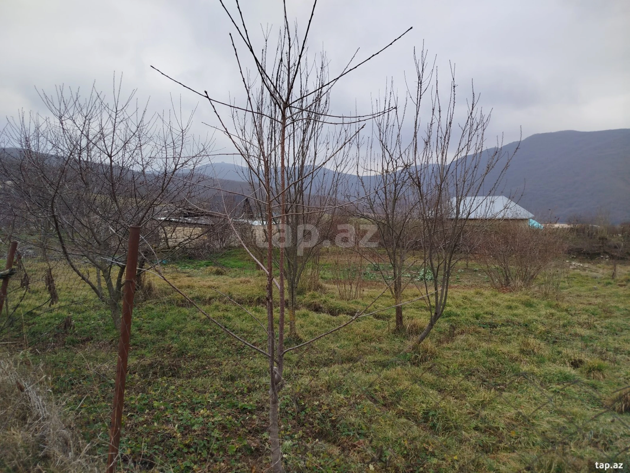 Satılır torpaq sahəsi