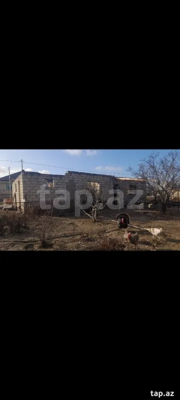 Satılır 5 otaqlı həyət evi