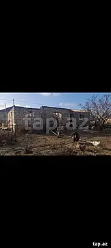 Satılır 5 otaqlı həyət evi