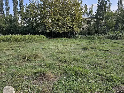 Satılır torpaq sahəsi — Lənkəran