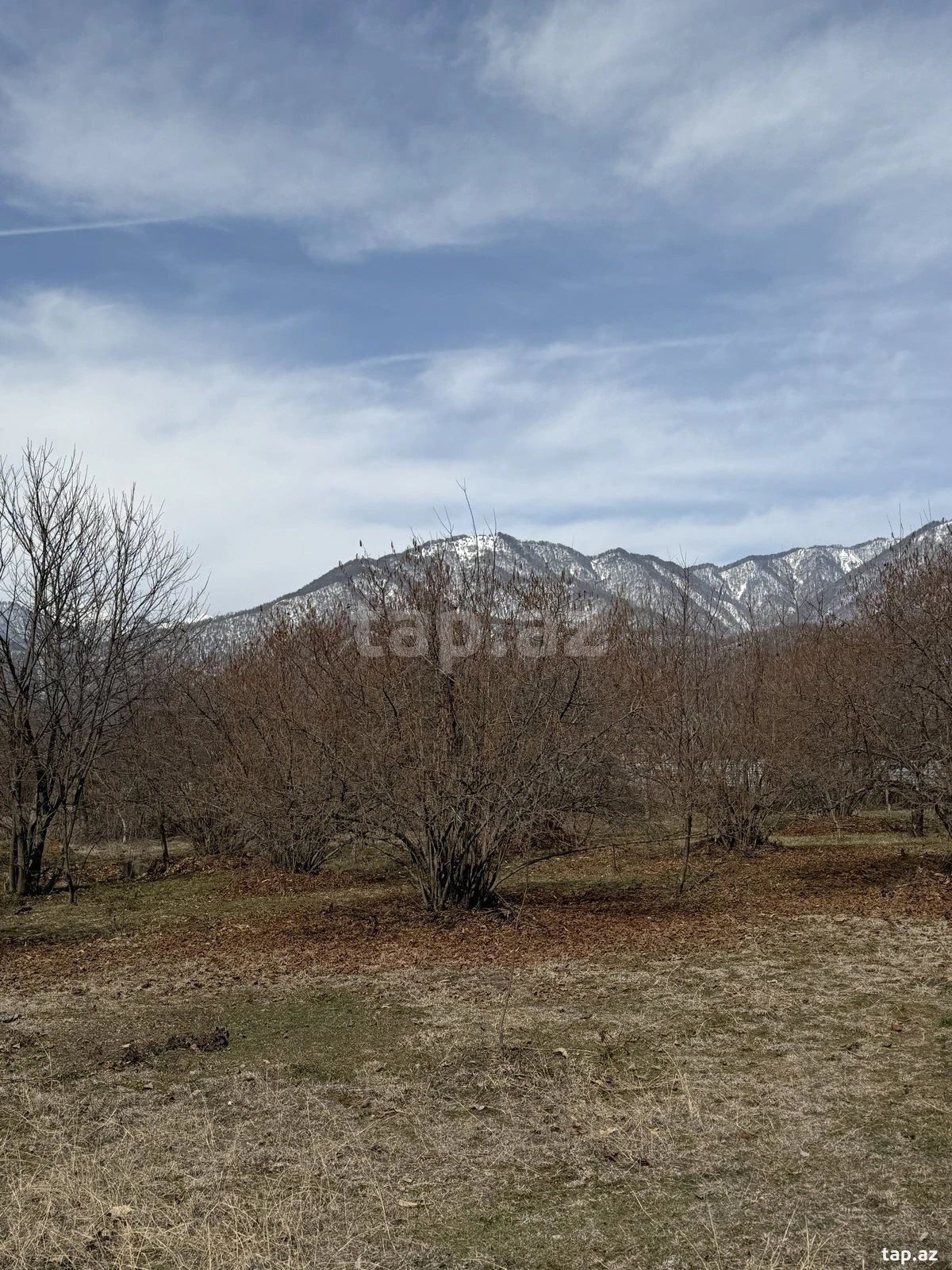 Satılır torpaq sahəsi