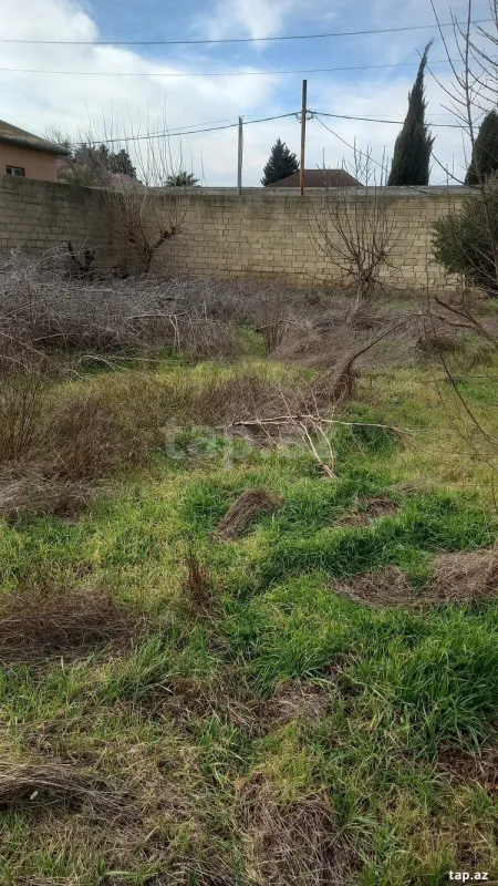 Satılır torpaq sahəsi