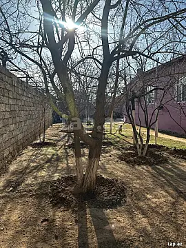 Satılır 3 otaqlı həyət evi 100 m²