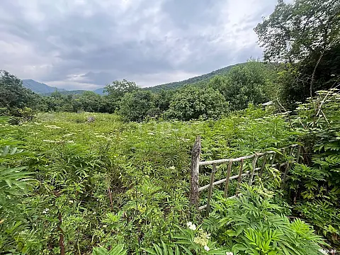 Satılır torpaq sahəsi — Oğuz