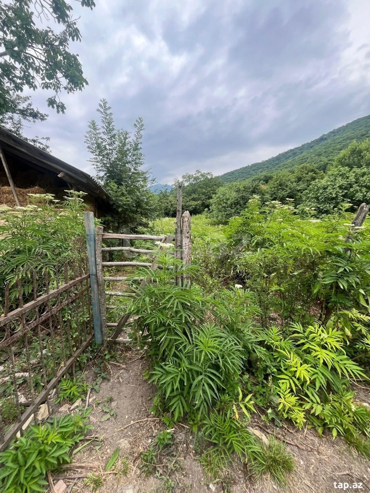 Satılır torpaq sahəsi