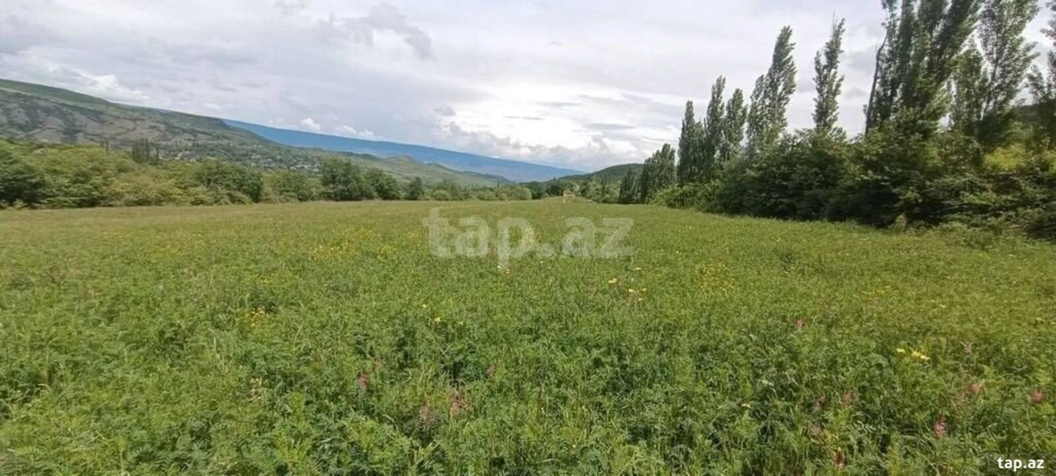 Satılır torpaq sahəsi