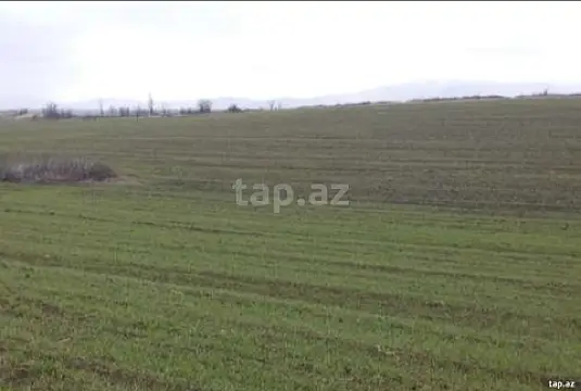 Satılır torpaq sahəsi — Bakı