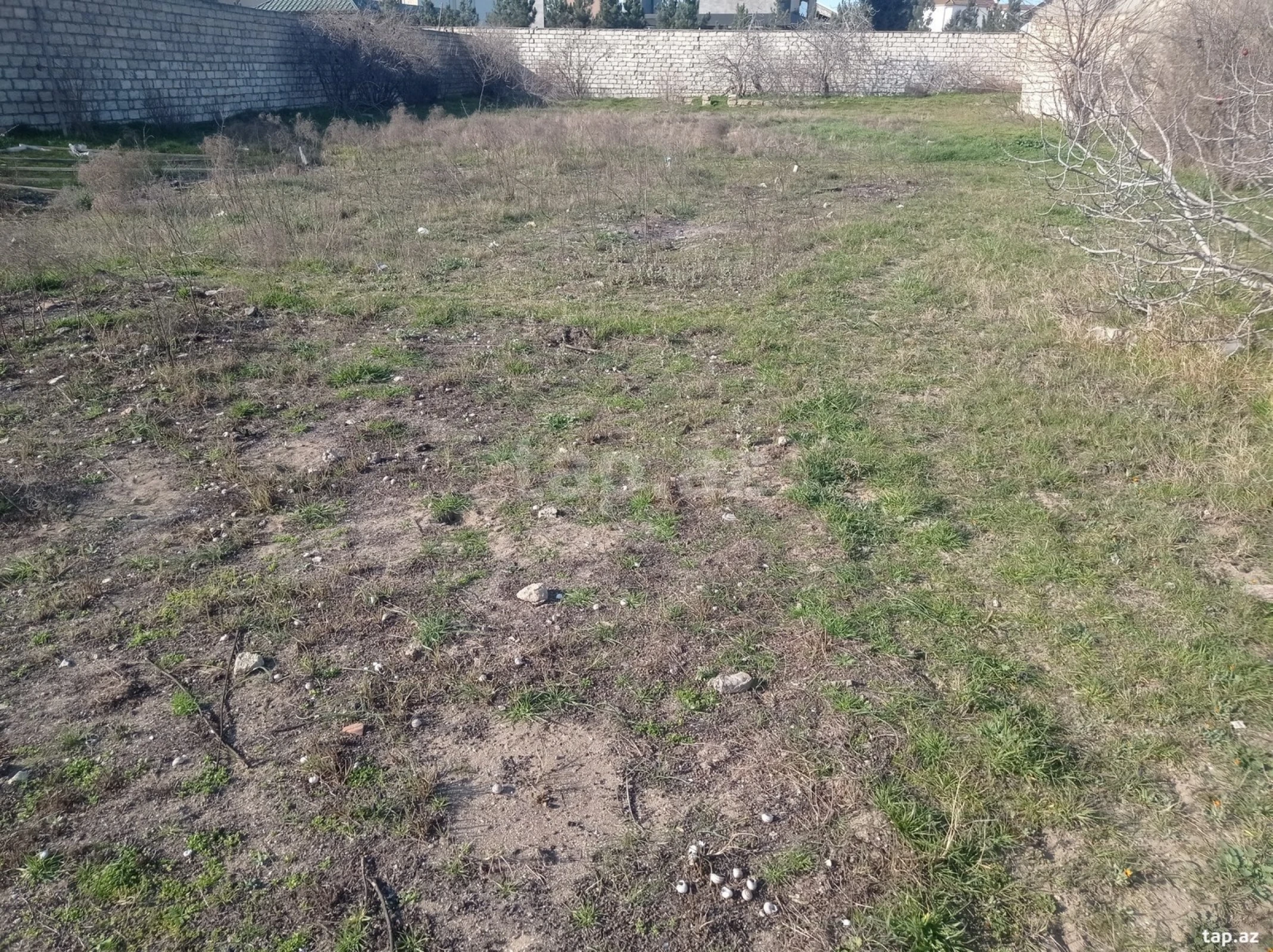 Satılır torpaq sahəsi