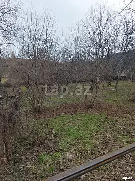 Satılır torpaq sahəsi — İsmayıllı