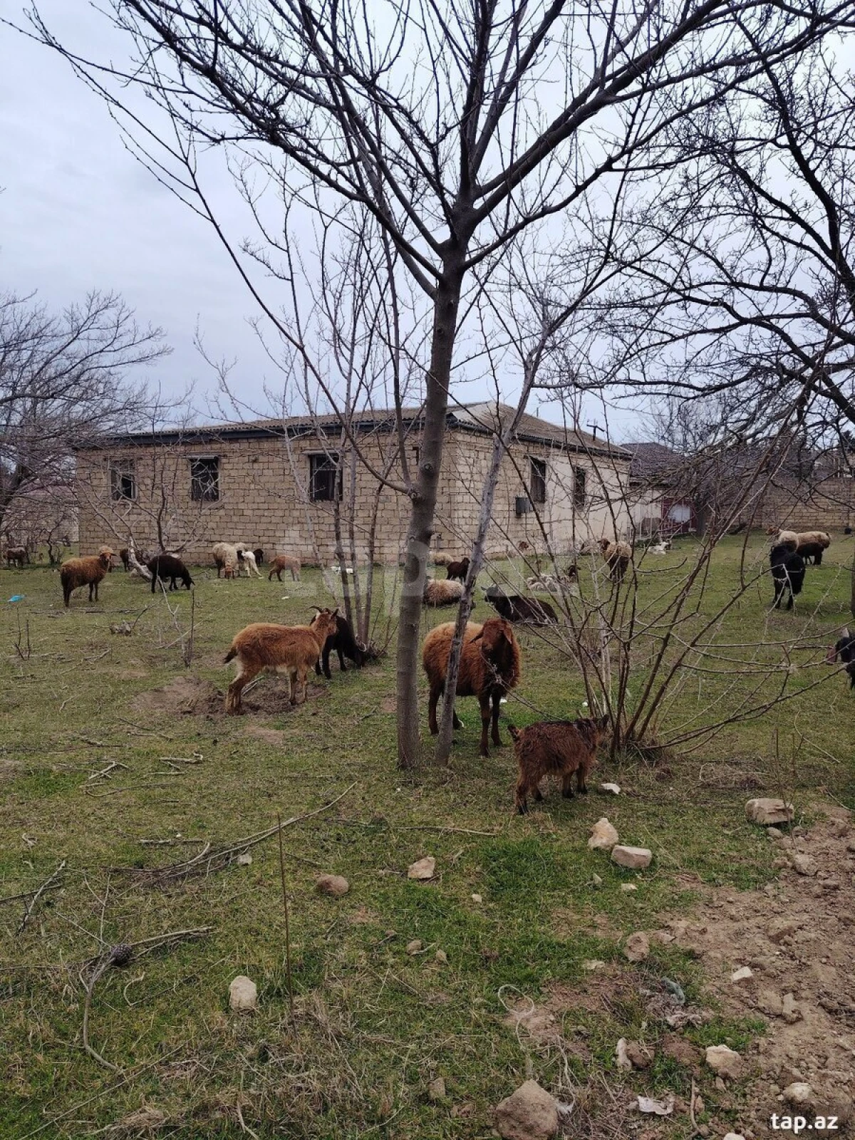 Satılır 5 otaqlı həyət evi 22 m²