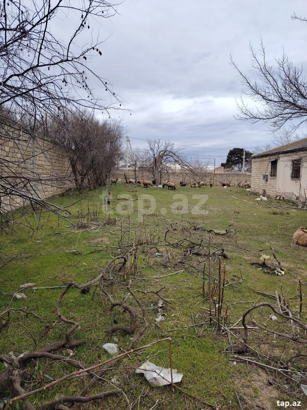 Satılır 5 otaqlı həyət evi 22 m²