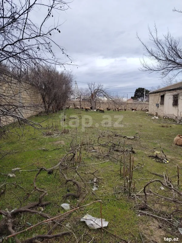 Satılır 5 otaqlı həyət evi 22 m²