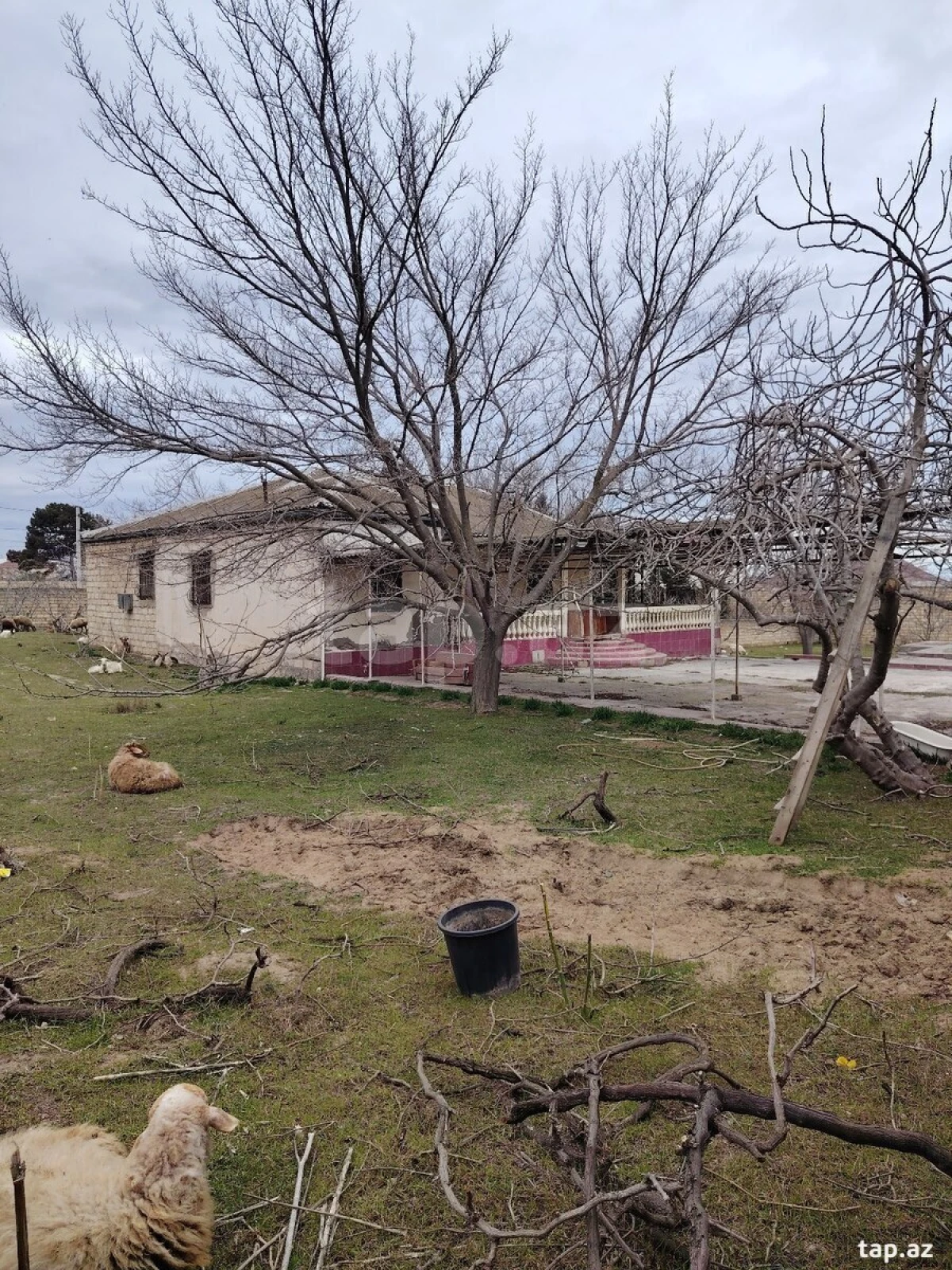 Satılır 5 otaqlı həyət evi 22 m²