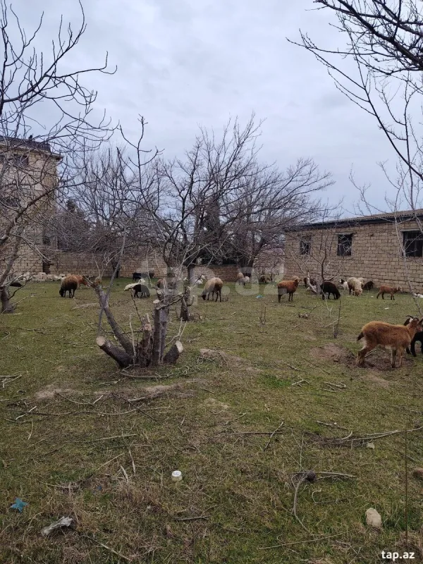 Satılır 5 otaqlı həyət evi 22 m²